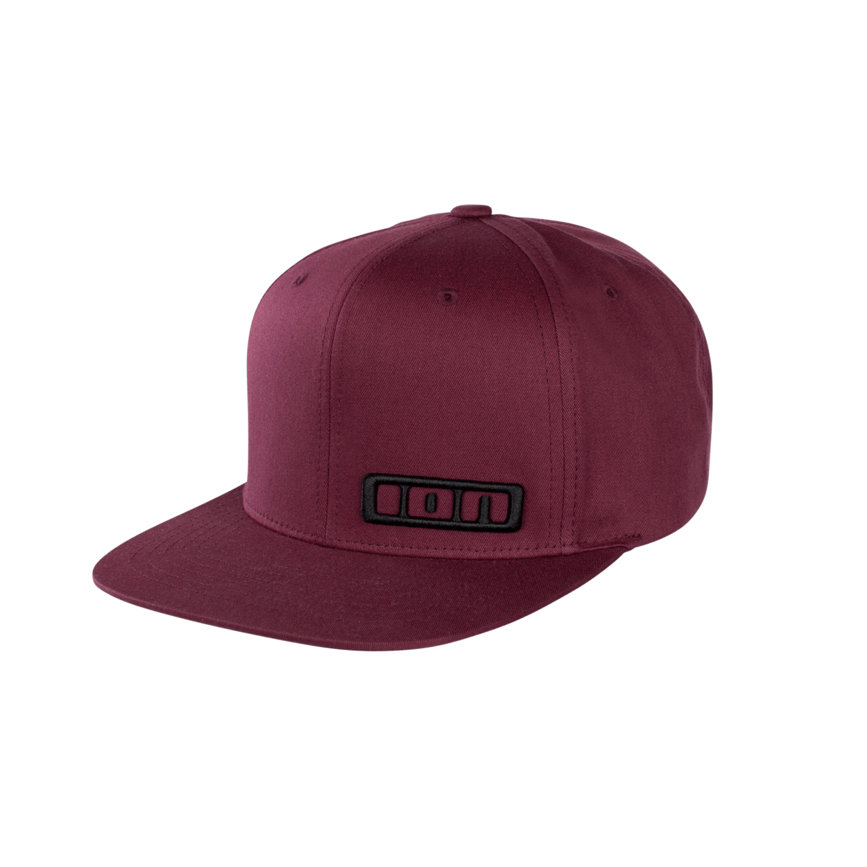ION Cap Logo 2021